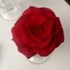 Delicate Fondant Roses