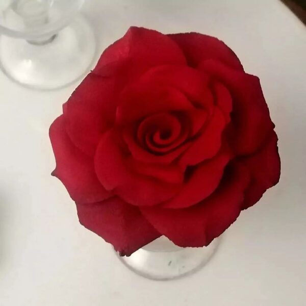 Delicate Fondant Roses