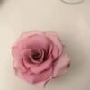 Delicate Fondant Roses