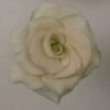 Delicate Fondant Roses