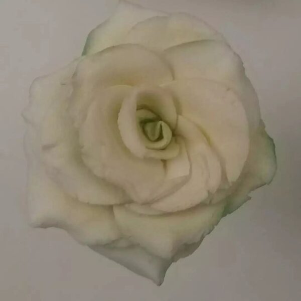 Delicate Fondant Roses